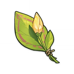 A Flower Yet to Bloom