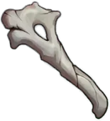 Fragmento de hueso frágil