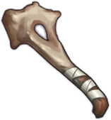 Fragmento de hueso sólido