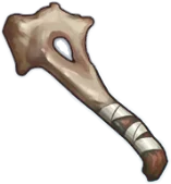 Fragmento de hueso sólido