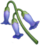 Campanita de cristal