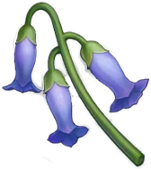 Campanita de cristal